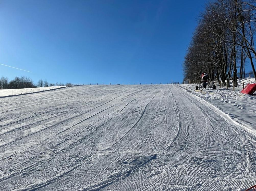 Relax Pension Schonwald Budisov nad Budisovkou Exteriör bild